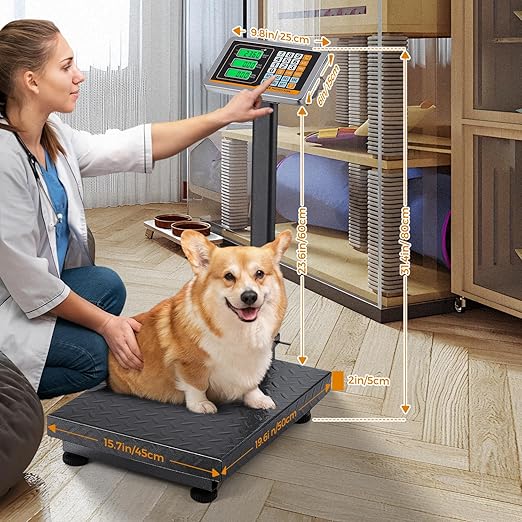 Bonvoisin Digital Platform Scale 660LBs Heavy Duty Floor Scale KG/LB Switchable Postal Shipping Scale for Weighing Packages, Luggage, Suitcases, Boxes