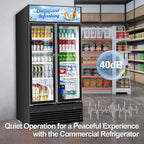 Tylza Commercial Refrigerator, Double Glass Door Display Beverage Fridge, 28.1 Cu Ft Upright Beverage Cooler Merchandiser with Replaceable Advertising Light Board, Rebound Door, Fast Cooling, Black