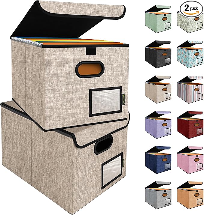 BALEINE File Organizer Box with Lid, Collapsible File Folder Organizer with Plastic Slide, Hanging File Folder Box for Office Document Storage (2 Pack, Beige)