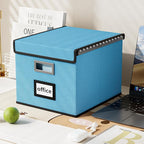 Huolewa File Organizer Box with Lid, Collapsible File Folder Organizer for Office Document Storage, Filing Box with Plastic Slide for Letter Size Hanging File Folders(1 Pack, Sky-blue)