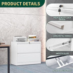 2 Drawer Lateral File Cabinet with Lock, Metal File Cabinets for Home Office, Steel Heavy-Duty Filing Storage Cabinet for Letters/Legal/A4 (Require Assembly, White)