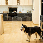 Modern Frame Clear Acrylic Freestanding Dog Gate - 32" Tall Extra-Wide Folding 4-Panel Pet Barrier for Doorways, Stairs & Large Openings, Indoor Fence for Small to Large Dogs & Cats