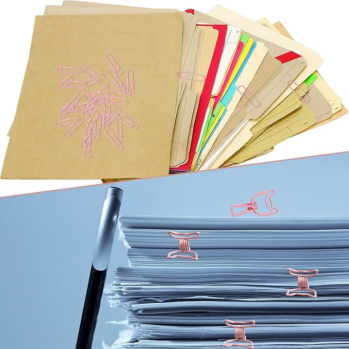 Paper Clips and Binder Clips Assortment (Pink)