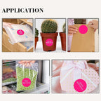 2 Inch Fluorescent Pink Circle Stickers 500 Pcs,Permanent Color Coding Dots for Office,Home Organization, File Classification,Multipurpose Labels