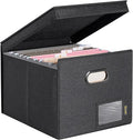 BALEINE File Organizer Box with Lid, Collapsible File Folder Organizer with Plastic Slide, Hanging File Folder Box for Office Document Storage (Tab Friendly, 1 Pack, Black)