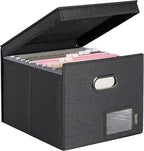 BALEINE File Organizer Box with Lid, Collapsible File Folder Organizer with Plastic Slide, Hanging File Folder Box for Office Document Storage (Tab Friendly, 1 Pack, Black)