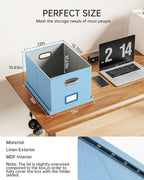 Oterri File Organizer, File Box, File Cabinet for Letter File Folder Storage, Portable Storage Bins with Lids for Office/Decor/Home,Document Organizer, 1 Pack,Sky-blue-Box Only