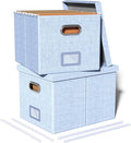 2 Pack File Storage Organizer, Filing Box, Portable File Box with Lid, Fit for Letter/Legal File Folder Storage, Document Organizer, Sky-blue