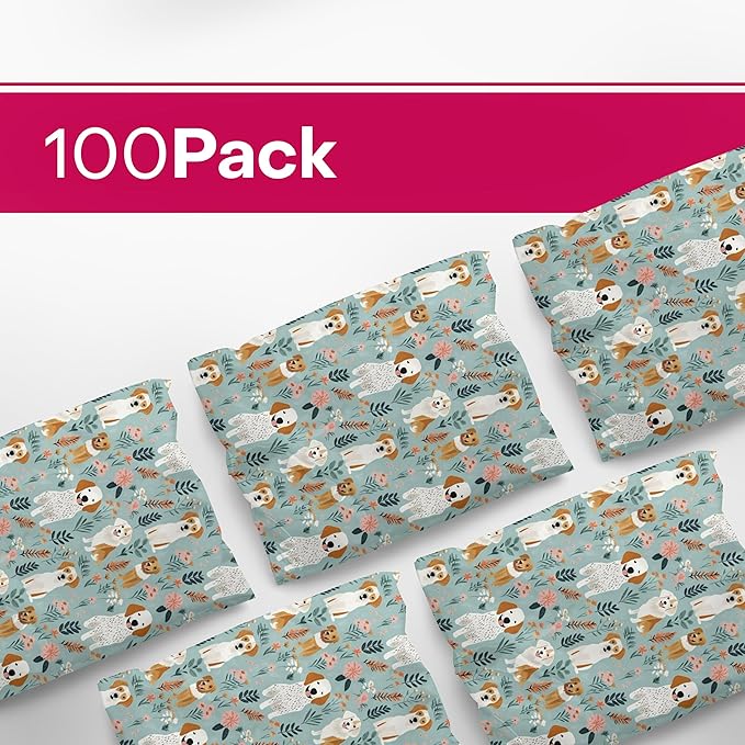 Package Mint Poly Mailers Cute Shipping Bags for Clothing, Plastic Mailing Bags for Small Business Self Seal, Non-Padded Waterproof Packaging Envelope, 10x13 Multi-Color, 100 Pack