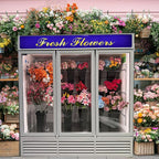 Commercial Flower Refrigerator Floral Display Cooler,White 3 Glass Doors Floral Fridge With LED Light Adjustable Shelves,ETL Sanitation,71" Wide,63.5 Cuft, Wheels Included