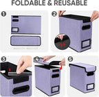 BALEINE File Organizer Box with Lid, Collapsible File Folder Organizer with Plastic Slide, Hanging File Folder Box for Office Document Storage (2 Pack, Purple, S)