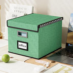 Huolewa File Organizer Box with Lid, Collapsible File Folder Organizer for Office Document Storage, Filing Box with Plastic Slide for Letter Size Hanging File Folders(1 Pack, Light Green)