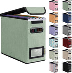 BALEINE File Organizer Box with Lid, Collapsible File Folder Organizer with Plastic Slide, Hanging File Folder Box for Office Document Storage (1 Pack, Green, S)