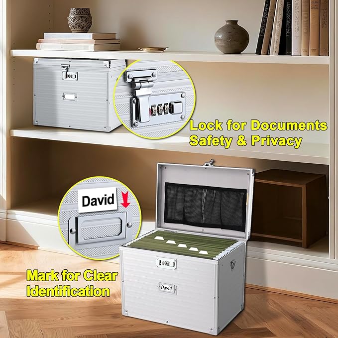 File Storage Cabinet File Organizer Document Organizer File Box in Office and Home with Combination Lock with 20 Letter Size Hanging Files (Stripe Silver)