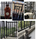 Plastic Wire Mesh Fence, Fencing Chicken Wire Fence with 1.8cm/0.7in Mesh Holes, for Pet Fencing Garden Balcony Grass Protection Farm Crafts(Size:Mesh 0.7in-3.3ft Wx98ft L,Color:Black)