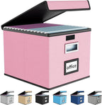 Huolewa File Organizer Box with Lid, Collapsible File Folder Organizer for Office Document Storage, Filing Box with Plastic Slide for Letter Size Hanging File Folders(1 Pack, Pink)