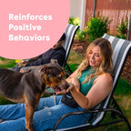Pupford Freeze Dried Training Treats for Dogs & Puppies, 225+ Two Ingredient Bites (Salmon, 2 oz)