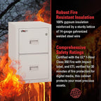 FireKing Turtle Vertical 2 Drawer Legal and Letter Fire Safe File Cabinet with Key Lock, 1 Hour Fire Rated, UL Rated & Water Resistant Home Safe, Filing Cabinet, Made in The USA, Platinum