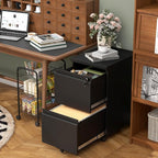 2 Drawer File Cabinet with Lock,29" H Small Filing Cabinet for Under Desk,Metal Filing cabinets for Home Office Organizer Letters/Legal/A4(Assembly Required,Black)