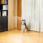Modern Frame Clear Acrylic Freestanding Dog Gate - 32" Tall Extra-Wide Folding 4-Panel Pet Barrier for Doorways, Stairs & Large Openings, Indoor Fence for Small to Large Dogs & Cats