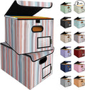 BALEINE File Organizer Box with Lid, Collapsible File Folder Organizer with Plastic Slide, Hanging File Folder Box for Office Document Storage (2 Pack, Color Stripe)