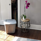 HOMZ Standard Plastic Storage Container