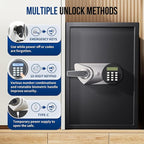 BlackSmith Large Home Safe Box 2.0 Cub Biometric Safe Fingerprint Recogntion Lock Box with Removable Shelf LED Light Fireproof Bag Wall Mount Cabinet Safe for Home Office Hotel, Black