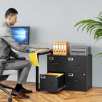 SISESOL 2 Drawer File Cabinet with Lock,Narrow Vertical Filing Cabinet,Under Desk File Cabinets,Black Metal File Cabinets for Home Office,Fit Letter/A4/Legal Size File,Easy Assembly