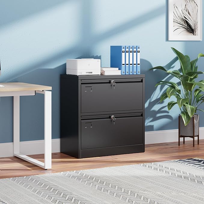Aobabo 2 Drawer Lateral File Cabinet, Lockable Metal Filing Cabinet with Name Card, Suitable for Home Office School Hanging Files Letter/Legal/F4/A4 Size,Required-Assembly,Black