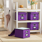 Huolewa File Organizer Box with Lid, Collapsible File Folder Organizer for Office Document Storage, Filing Box with Plastic Slide for Letter Size Hanging File Folders(1 Pack, Purple)