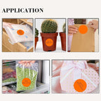 2 Inch Orange Circle Stickers 500 Pcs,Permanent Color Coding Dots for Office Home Organization, File Classification,Multipurpose Labels