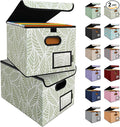 BALEINE File Organizer Box with Lid, Collapsible File Folder Organizer with Plastic Slide, Hanging File Folder Box for Office Document Storage (2 Pack, Antique Foliage)