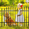 Metal Garden Fence 32" H x 24" W 5 Panels (4 Panels + 1 Gate) 10 Ft Total, Rustproof Animal Barrier No Dig Decorative Fencing for Dogs, Pet, Yard & Patio, Easy Installation