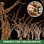 Weatherproof Outdoor Extension Cord 75 ft, 16/3 SJTW 75ft Green Extension Cord 3 Prong, Long for Outdoor Lights & Landscaping, UL Certified - US Veteran Owned