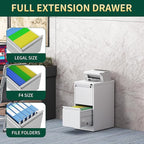 2 Drawer File Cabinet with Lock, Steel Vertical Filing Storage Cabinet for Home Office, Heavy-Duty File Cabinets for Letters/Legal/A4 (Require Assembly, White)