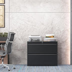 2 Drawer Lateral File Cabinet with Lock, File Cabinet, Metal Lateral Filing Cabinets for Home Office, File Storage Cabinet for Legal/Letter/A4 Documents, Assembly Required (Black, 35'W)